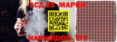 стаф Можга