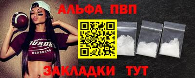 стаф Можга