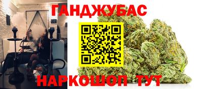 стаф Можга