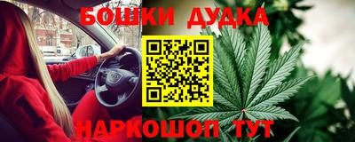 стаф Можга