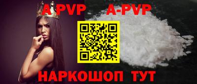 стаф Можга