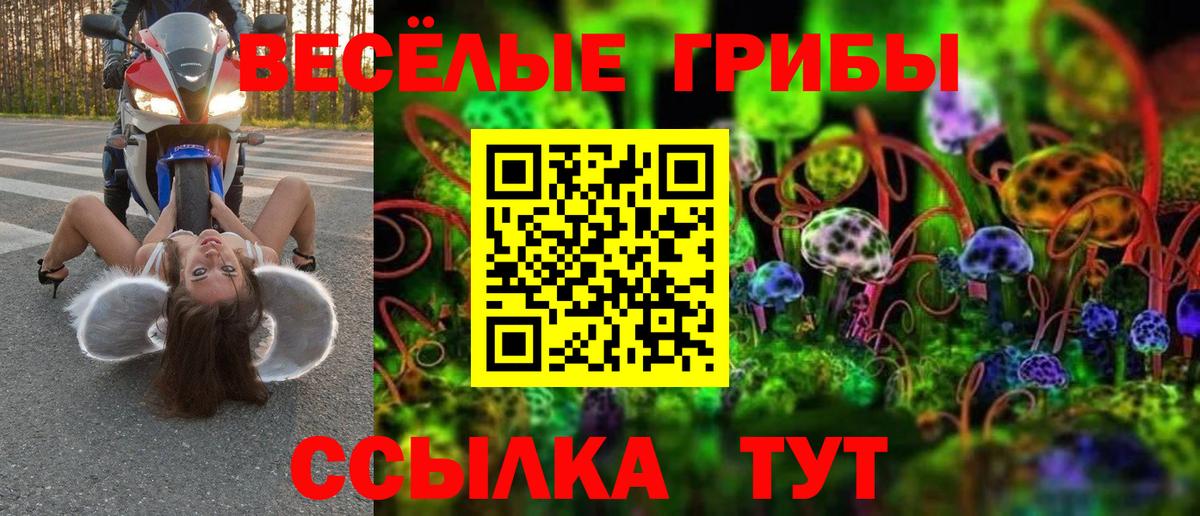 Псилоцибиновые грибы мухоморы  Псилоцибиновые грибы ЛСД  Сургут  Вход с VPN 